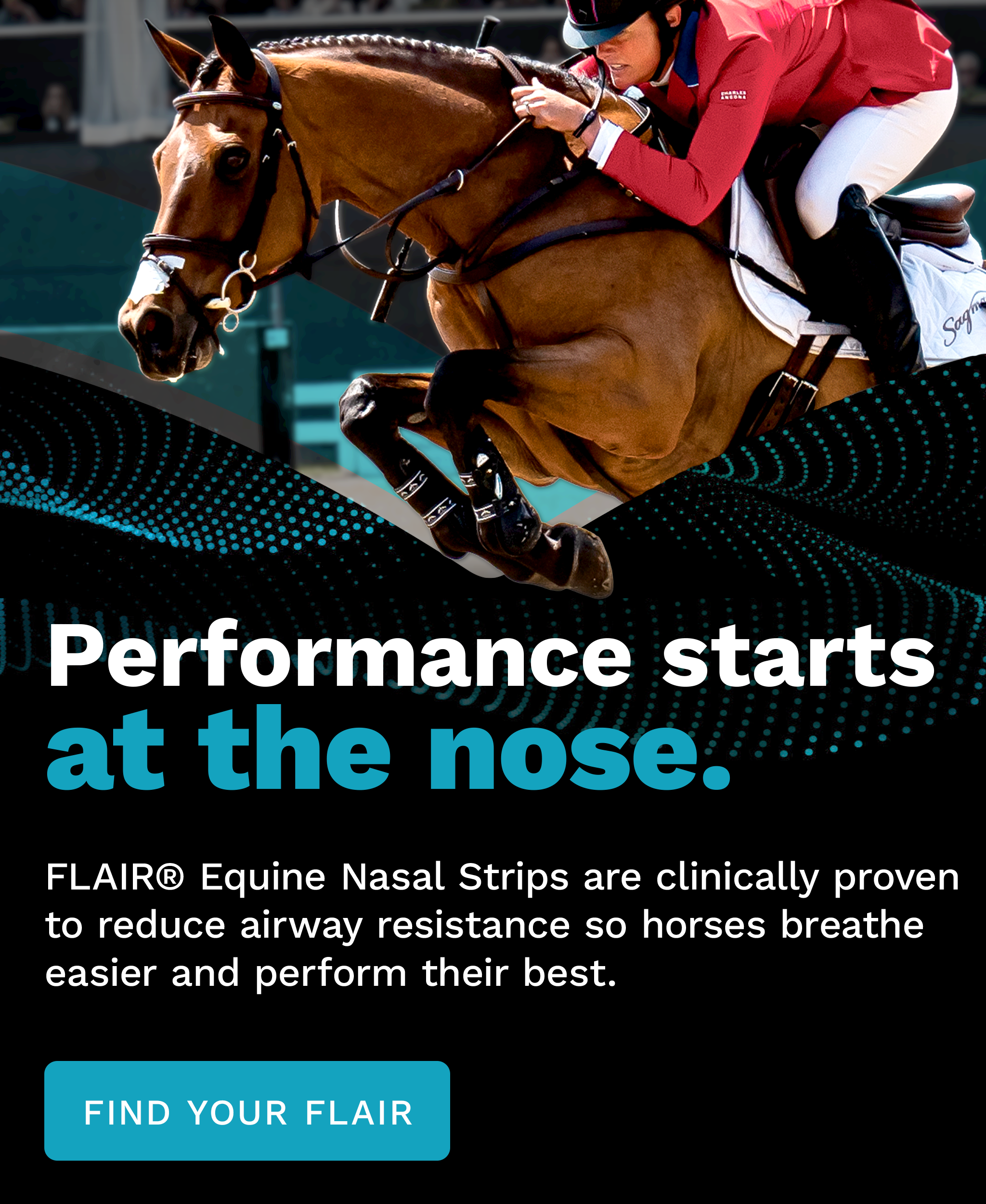 Show jumping horse clearing a fence with a FLAIR Equine Nasal Strip