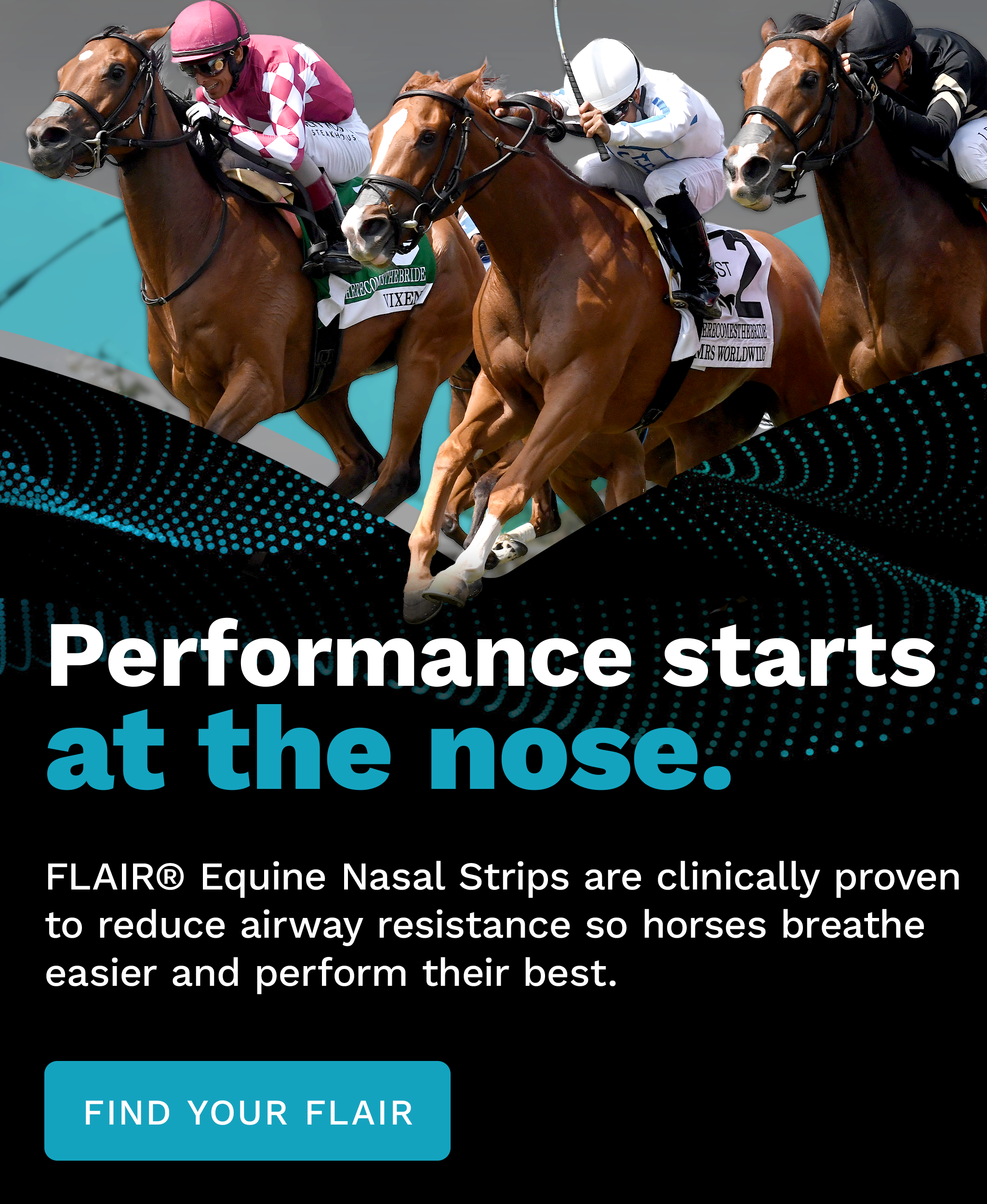 Racehorse galloping wearing a FLAIR Equine Nasal Strip for better airflow