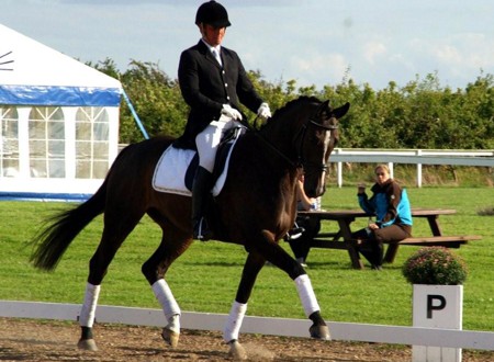 Dressage rider and focused horse demonstrating calm mental focus with Focus PRO