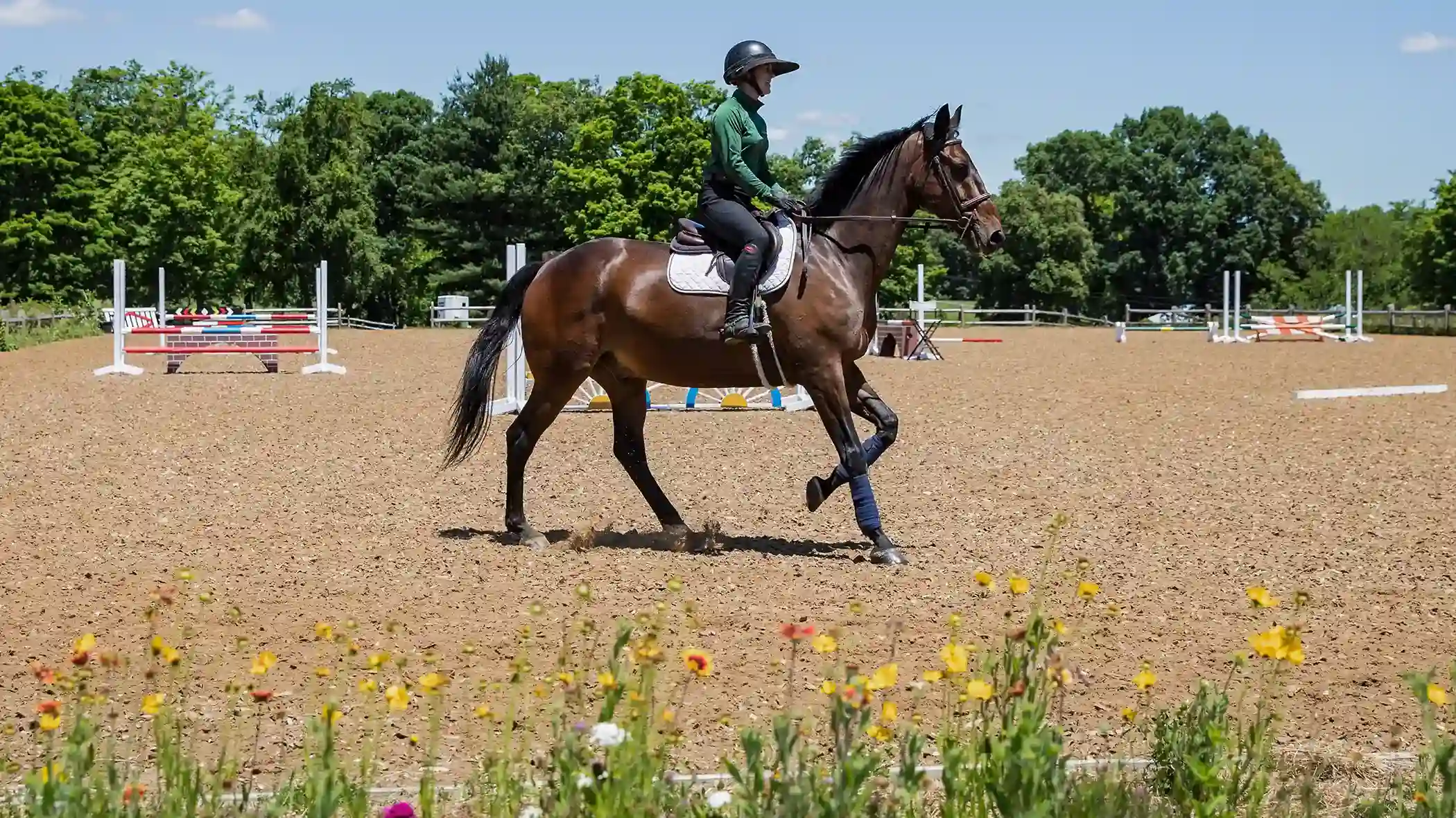 English rider schooling in an outdoor arena surfaced with FootingFirst TraveLite footing