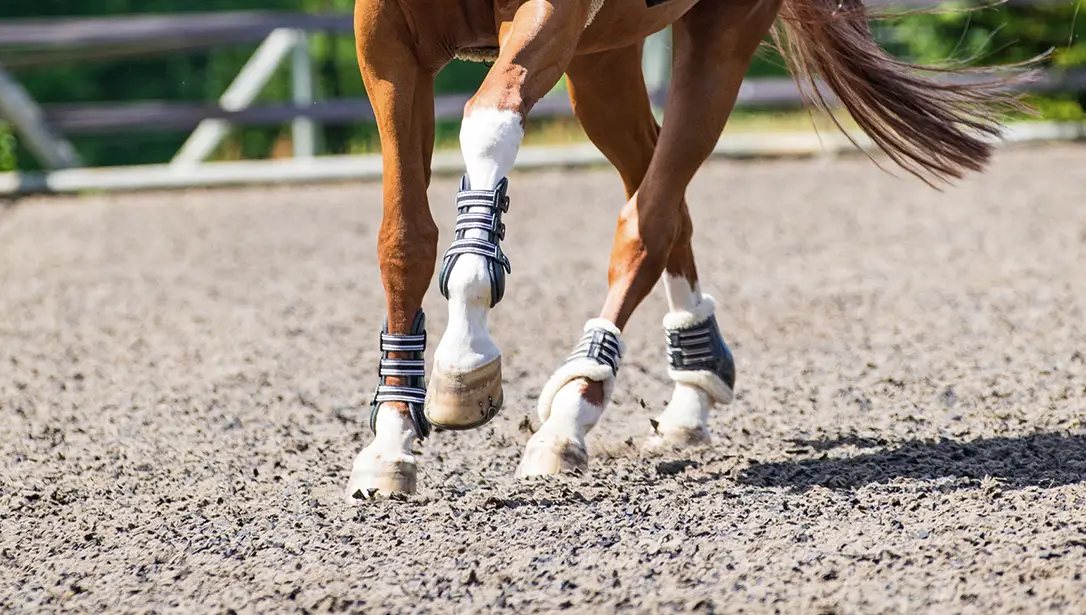 Close view of a horse's lower legs and hooves moving over TravelRight premixed arena footing