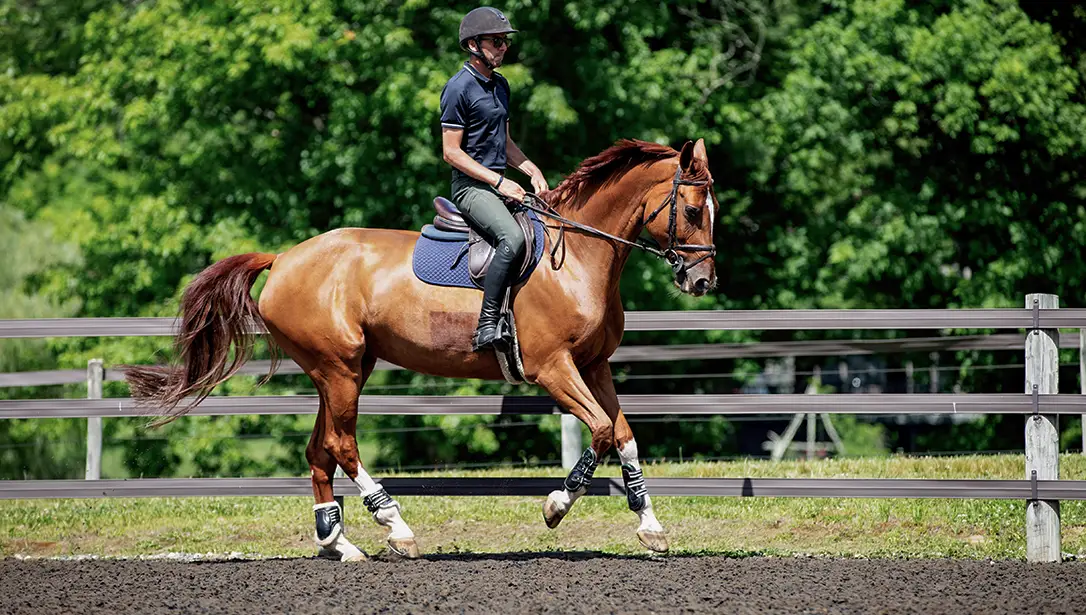 Rider on a chestnut horse working on TravelRight premixed outdoor arena footing