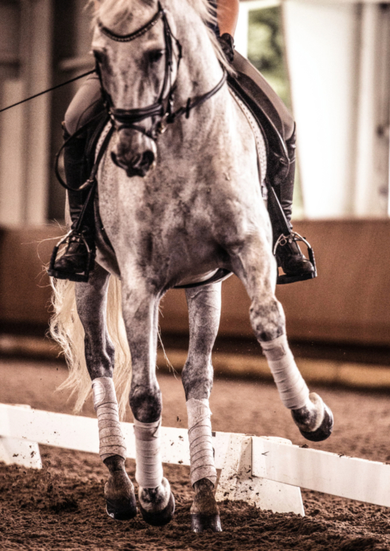 FootingFirst dust-free riding arena surface installed in an indoor equestrian arena