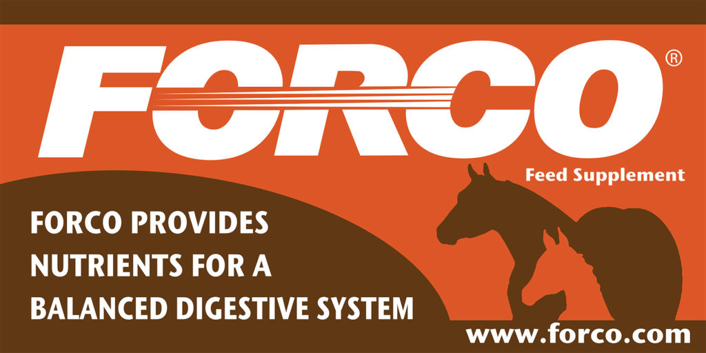 FORCO Feed Supplement Digestive Fortifier product bucket for horses