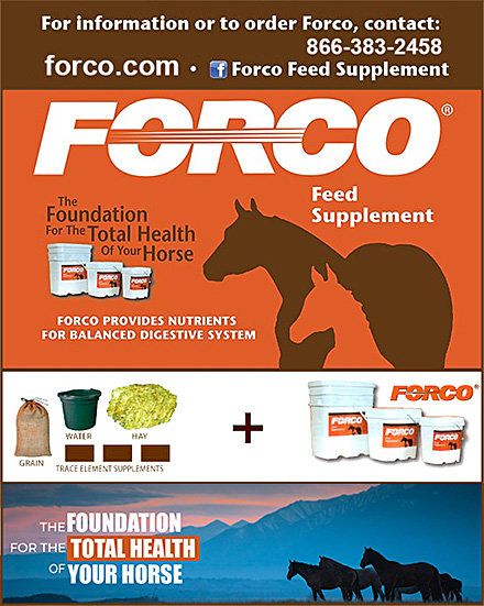 FORCO® Feed Supplement Digestive Fortifier