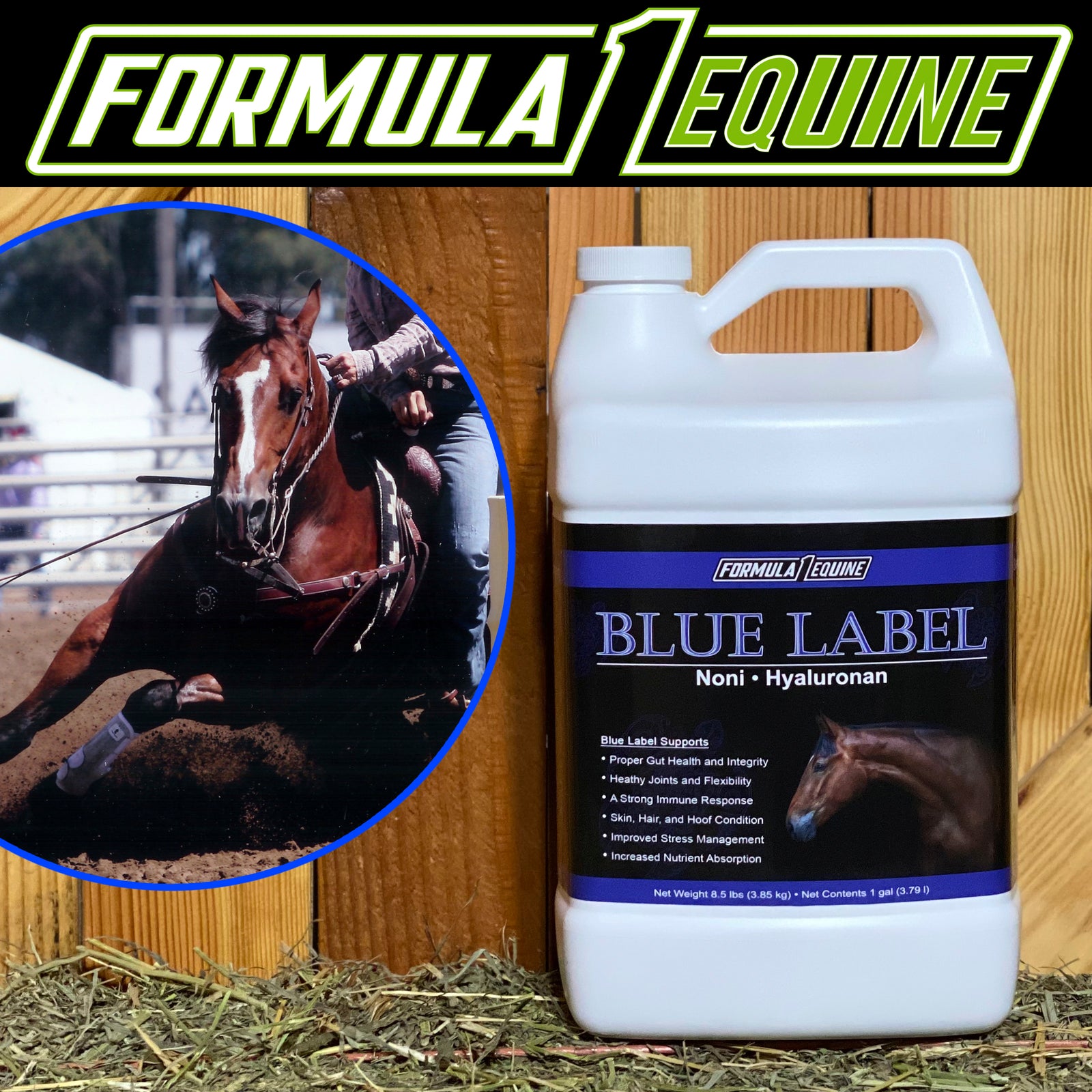 Formula 1 Noni Blue Label gallon, the noni and hyaluronan formula for whole-horse support