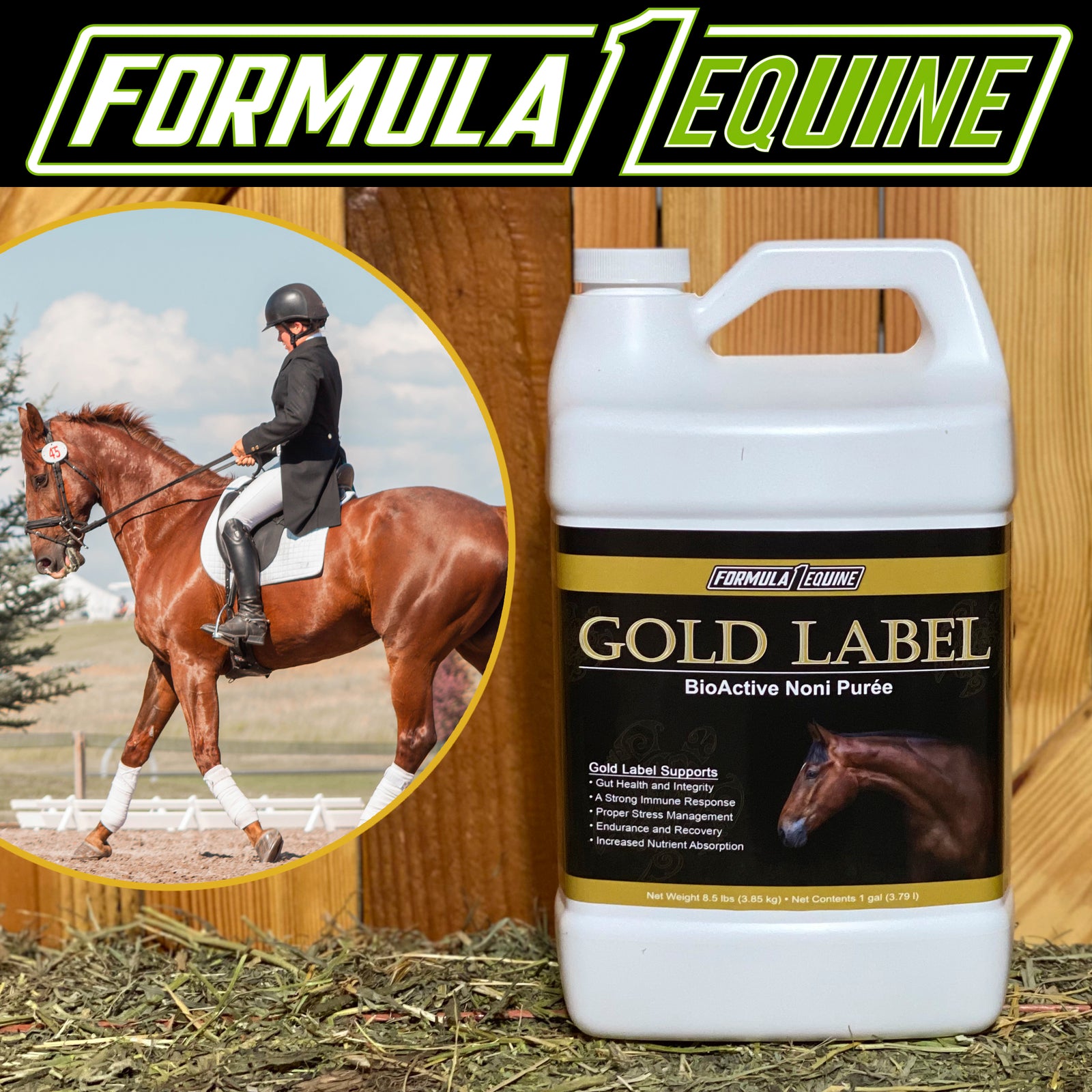 Formula 1 Noni Gold Label gallon of bioactive noni purée beside a rider schooling a chestnut horse