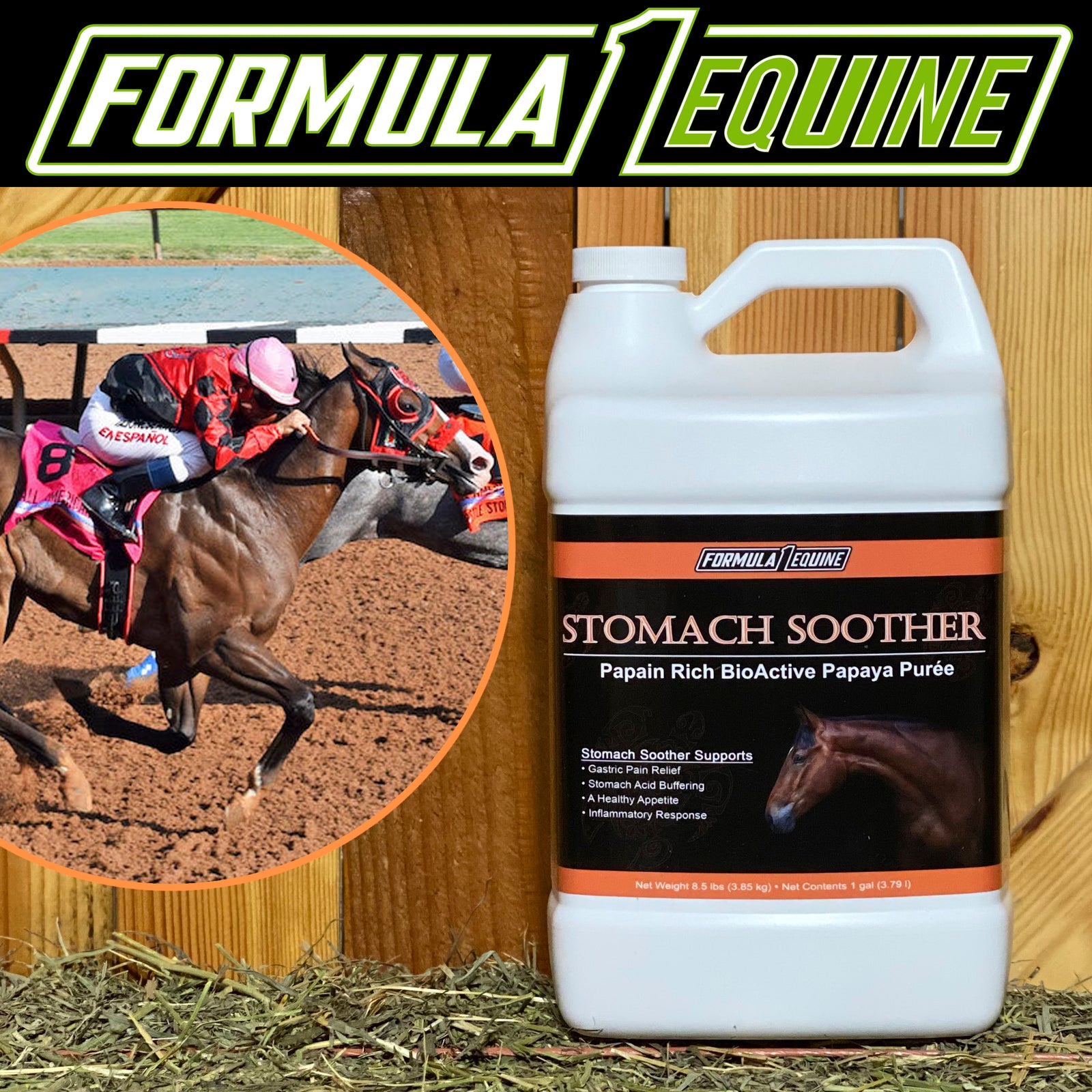 Formula 1 Stomach Soother gallon, a papain-rich papaya purée, shown beside racehorses on the track