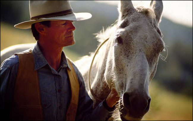 Frank Bell demonstrating the Gentle Solutions Revolution horse training method