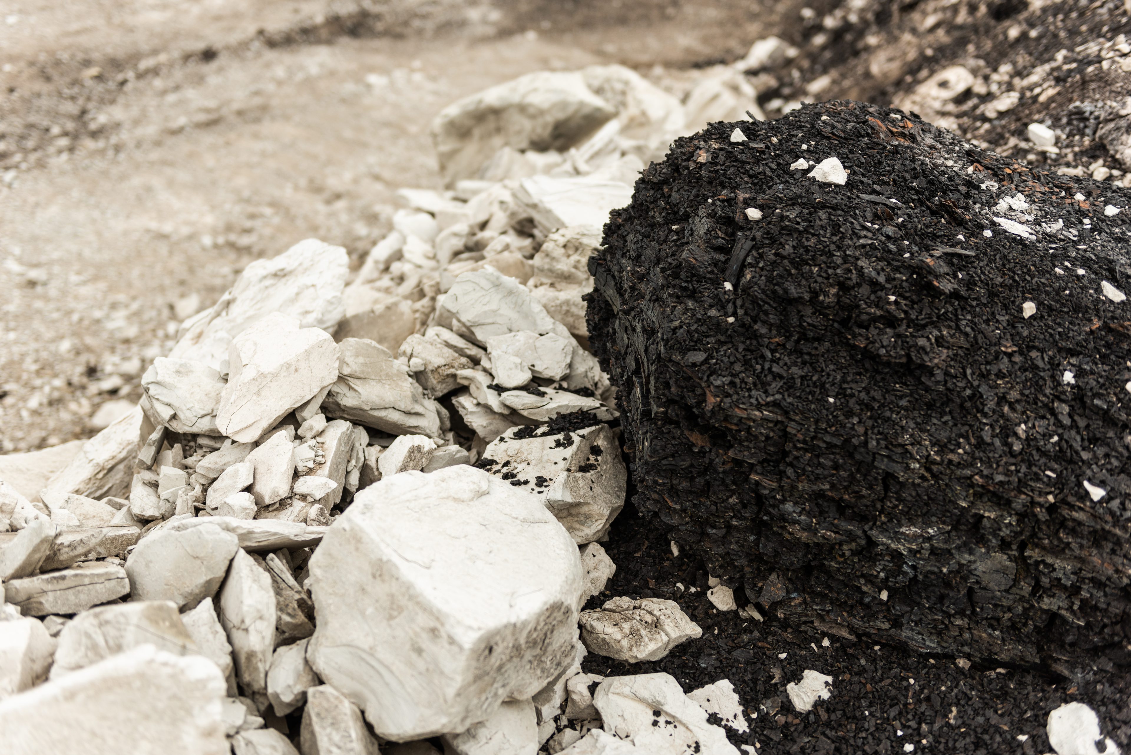 Natural diatomaceous earth and calcium montmorillonite mineral blend used in Fresh Coop