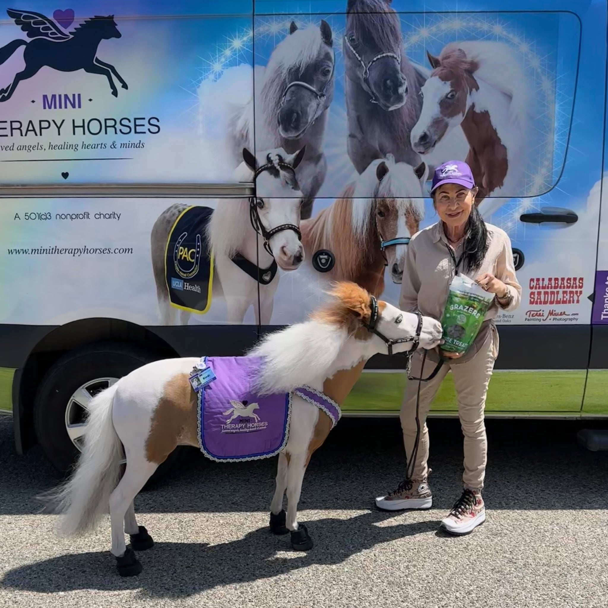 Miniature therapy horse in a purple blanket stands beside its handler holding a bag of GRAZERS Nutri-Treats