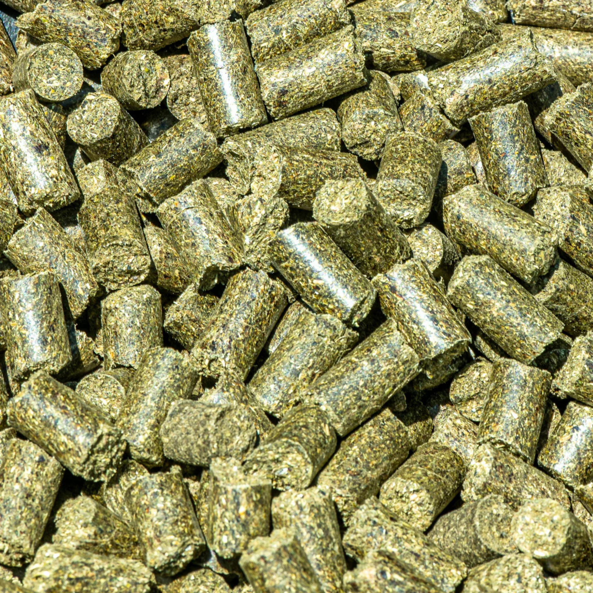 Close-up of forage-based GRAZERS Nutri-Treat pellets made from ground Timothy grass