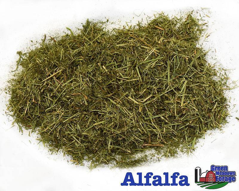 Green Meadows Forage high-protein sun-cured Alfalfa Forage for performance horses and lactating mares
