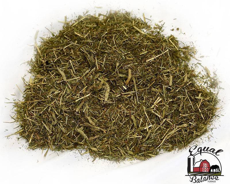 Green Meadows Forage Equal Balance ultra-low-starch forage for metabolically challenged horses
