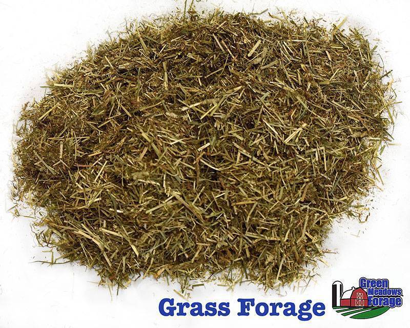 Green Meadows Forage chopped Grass Forage made from timothy and orchard grasses for horses