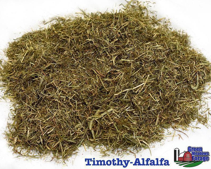 Green Meadows Forage Timothy and Alfalfa blend chopped forage for trail and pleasure horses