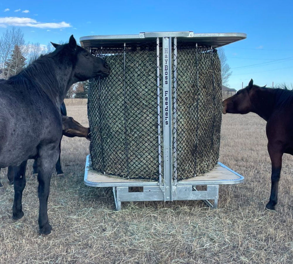 HayBoss Feeders net feeder cradling a bale of hay off the ground in a paddock