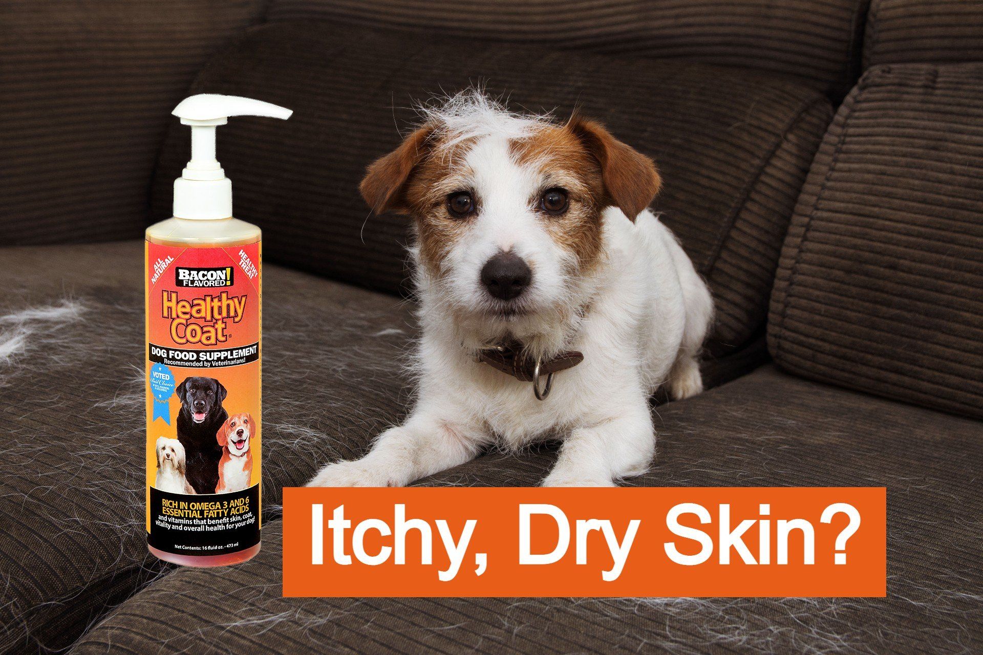 Dog with itchy dry skin helped by Bacon Flavored HealthyCoat omega supplement