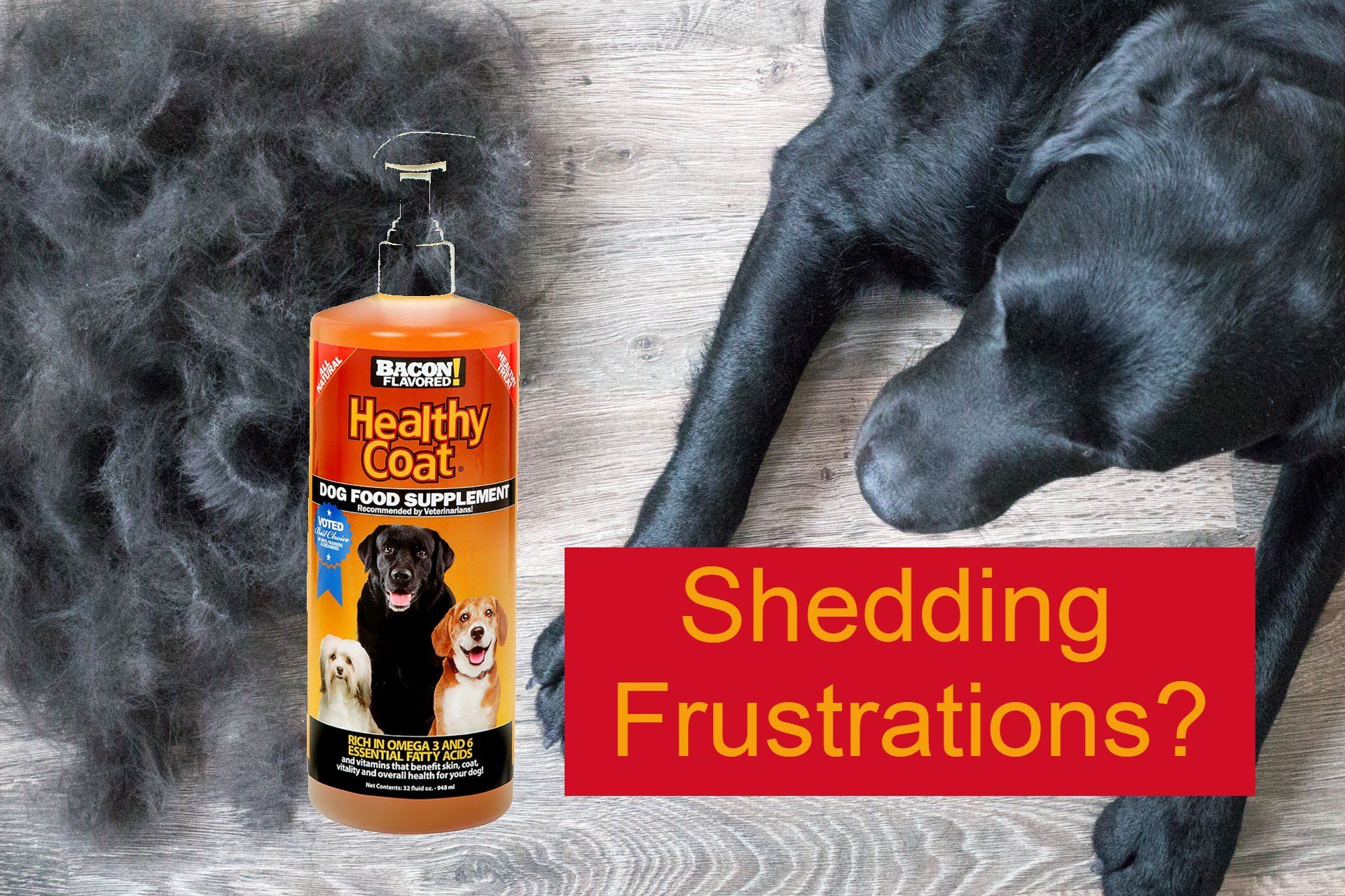 HealthyCoat reduces excessive dog shedding frustrations with omega-3 and omega-6 fatty acids