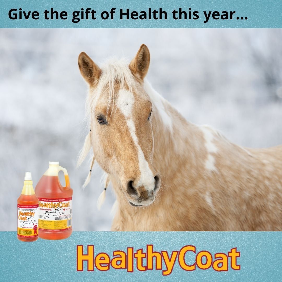 Palomino horse with a bright winter coat beside HealthyCoat supplement bottles