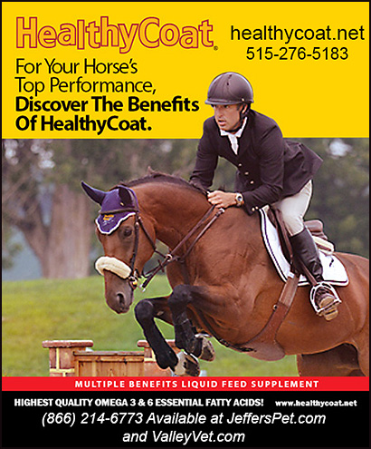 All Natural Healthy Coat Equine Multiple Benefits Liquid Feed Supplement