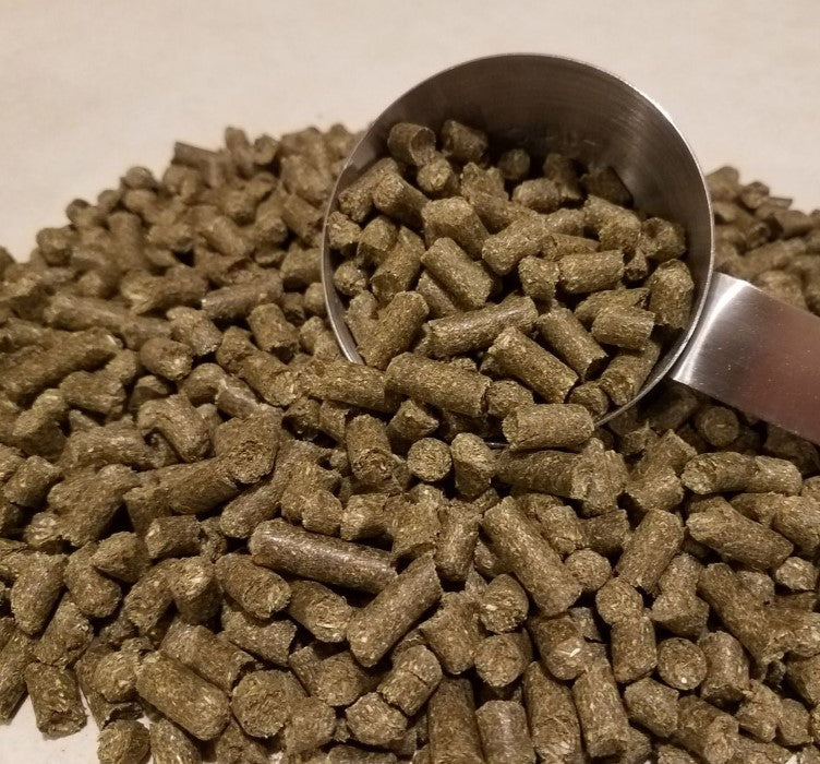 Close-up of Hemp For Horses CBD pellets with a stainless steel measuring scoop showing the hay-and-hemp blend