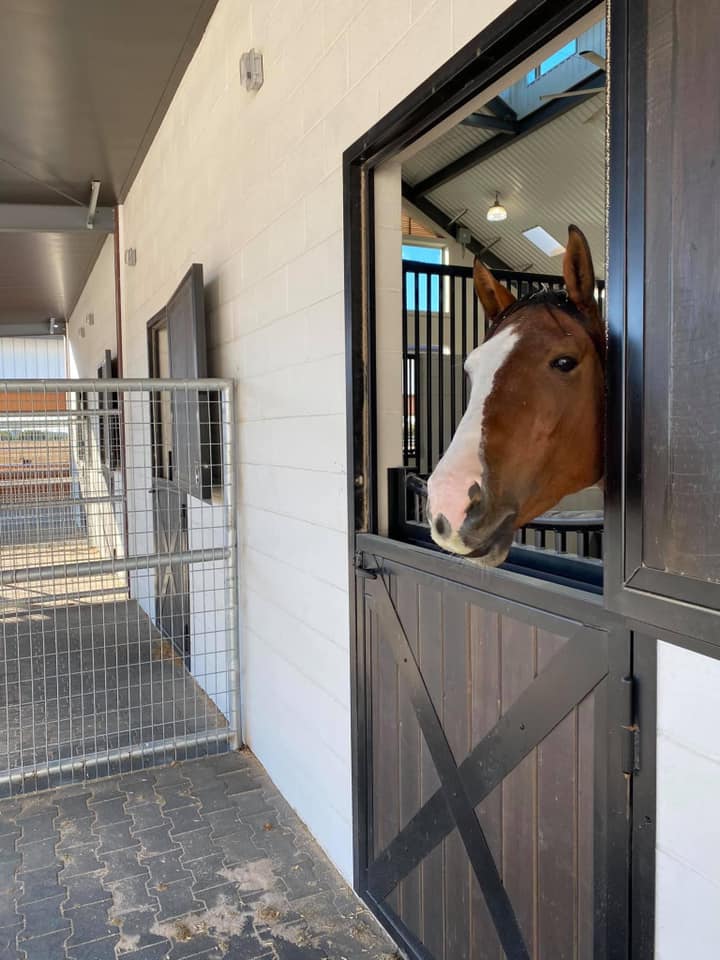 Heritage Equine Equipment exterior horse barn Dutch doors with kiln-dried wood fill