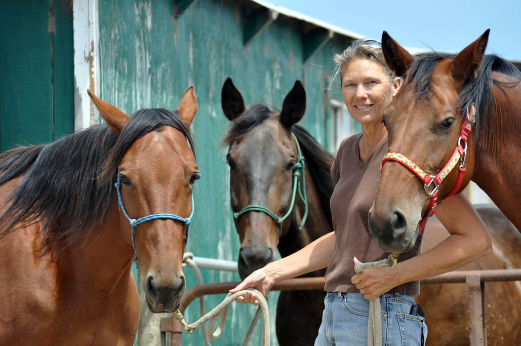 Horsewoman Shari Click, founder of Click Horse Products and designer of the Hock Shield, photographed outdoors