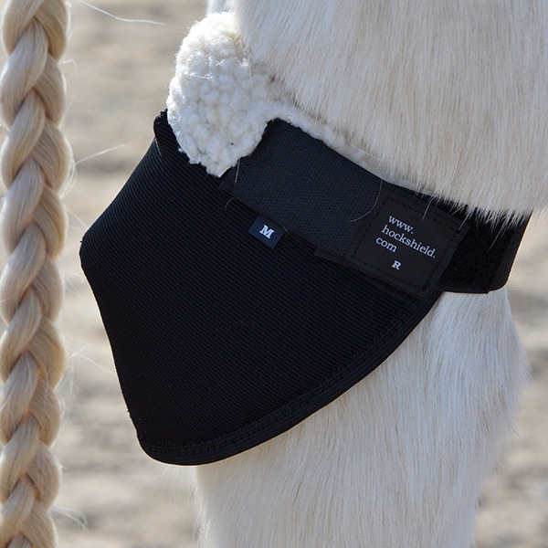 Close-up of a Hock Shield fitted on a grey horse's hock, showing the neoprene shell, fleece collar, and adjustable velcro band