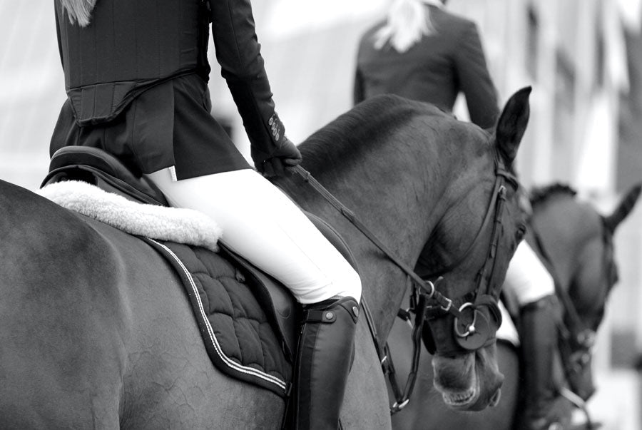 Sleek dark horses with glossy coats at an English riding competition
