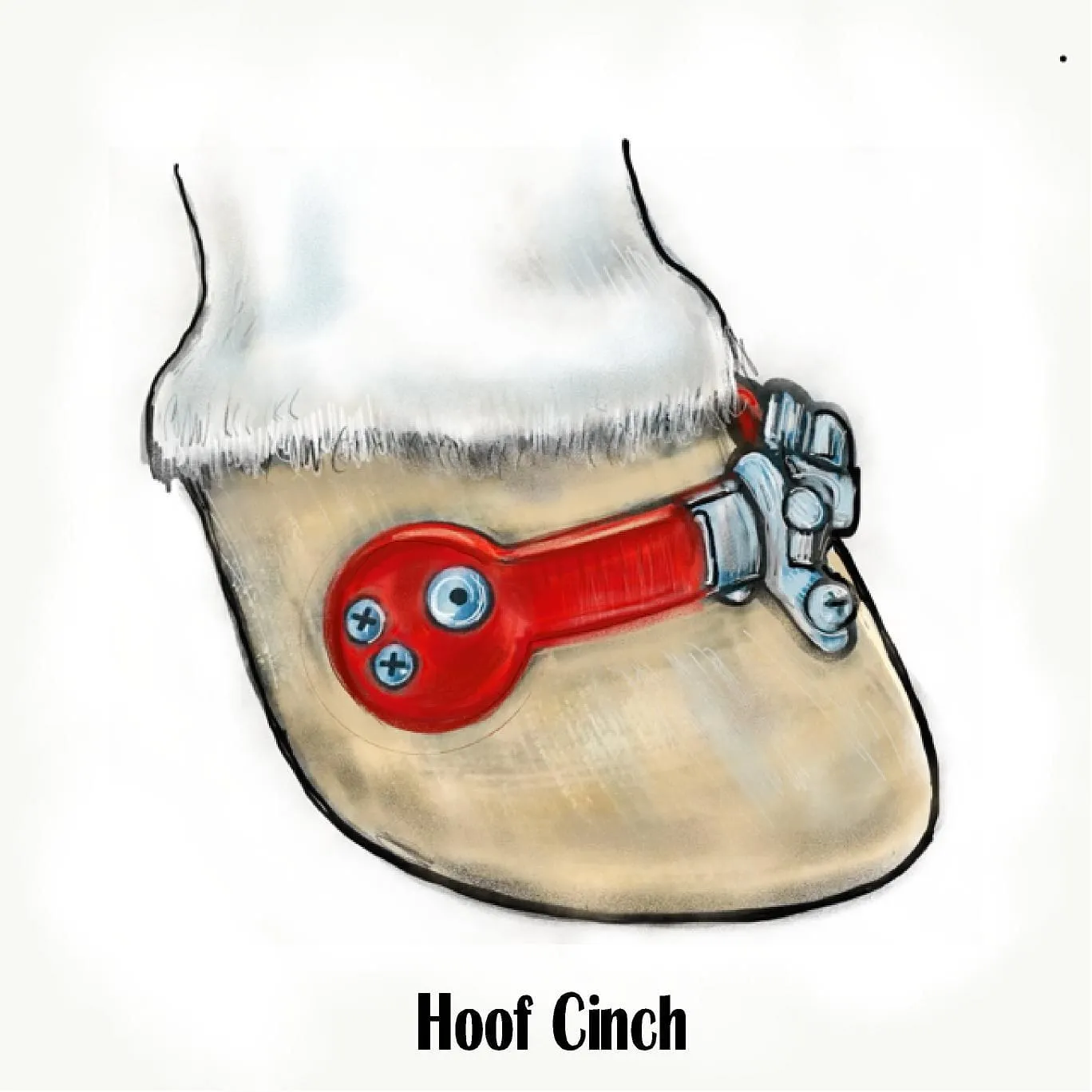 Illustration of The Hoof Cinch bracing device fitted across the front of a horse hoof above the coffin bone