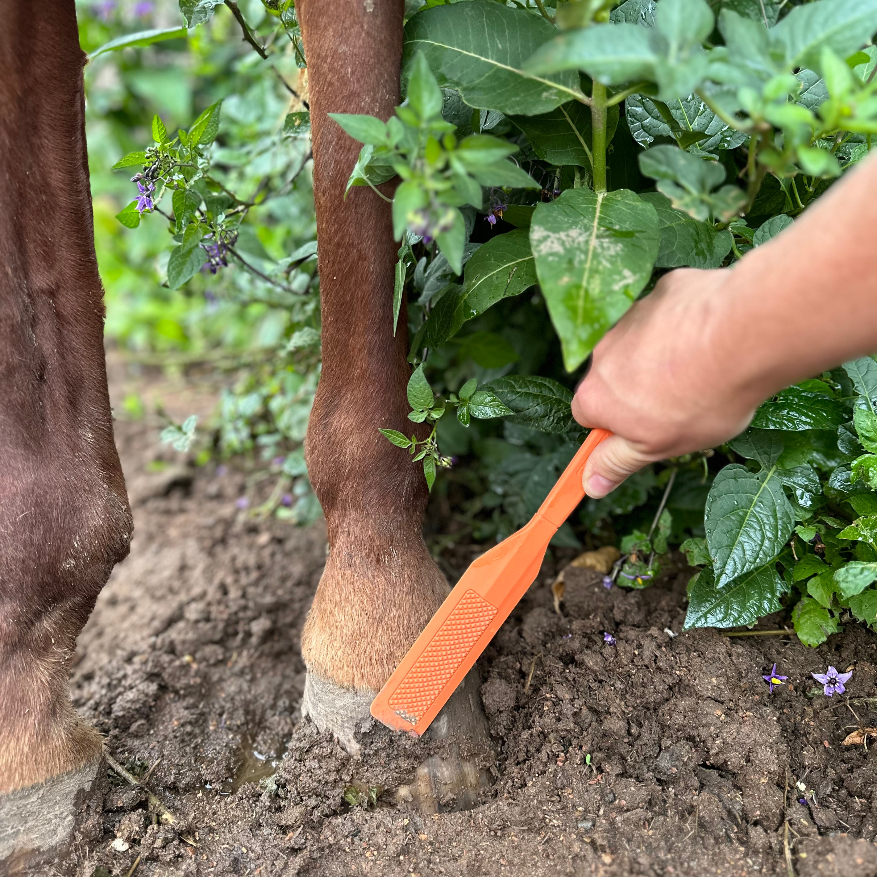 The HoofWand being used to clear mud from a horse's lower leg and hoof in a garden paddock