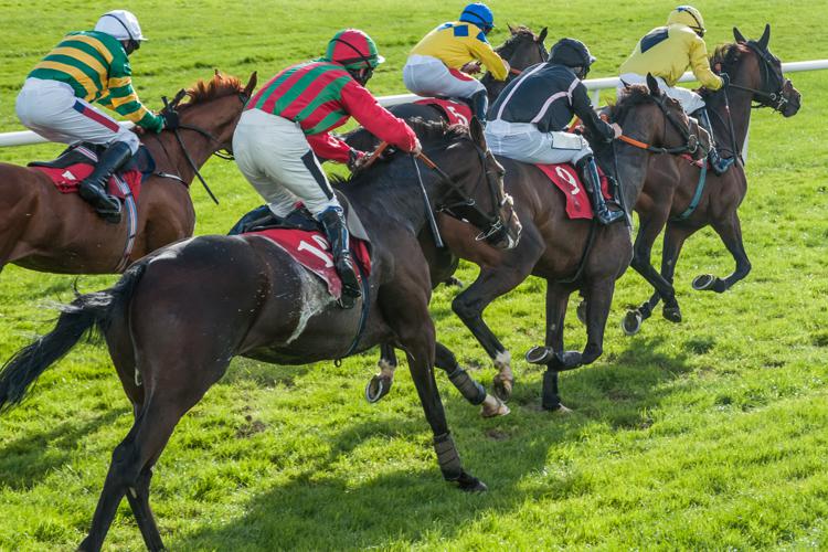 Racehorses and jockeys galloping down the turf where peak performance depends on internal health