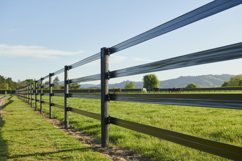 Horse standing safely behind white Horserail flexible board-look horse fencing