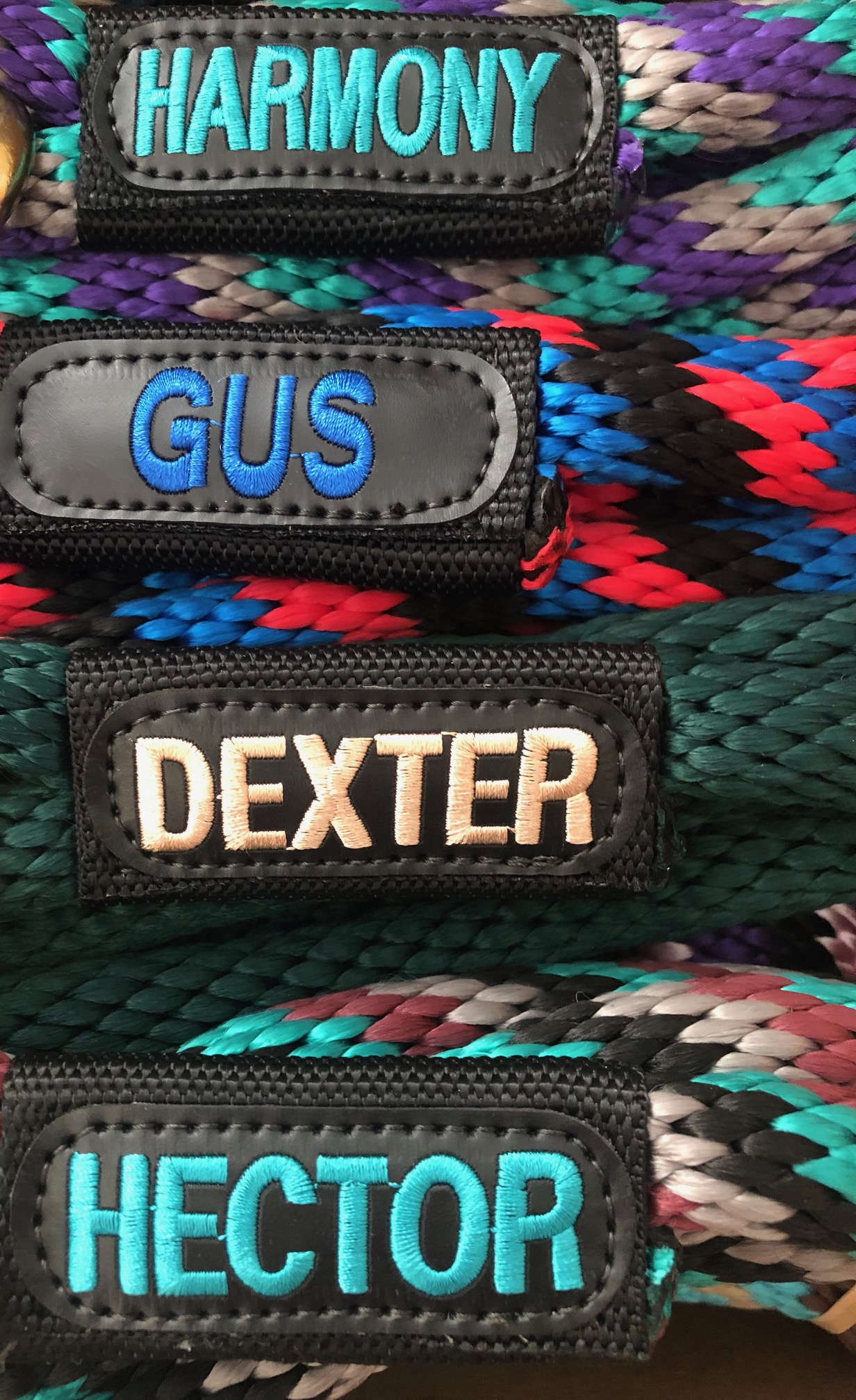 Close-up of embroidered identification stitching on an I.C.E. Products USA horse lead rope