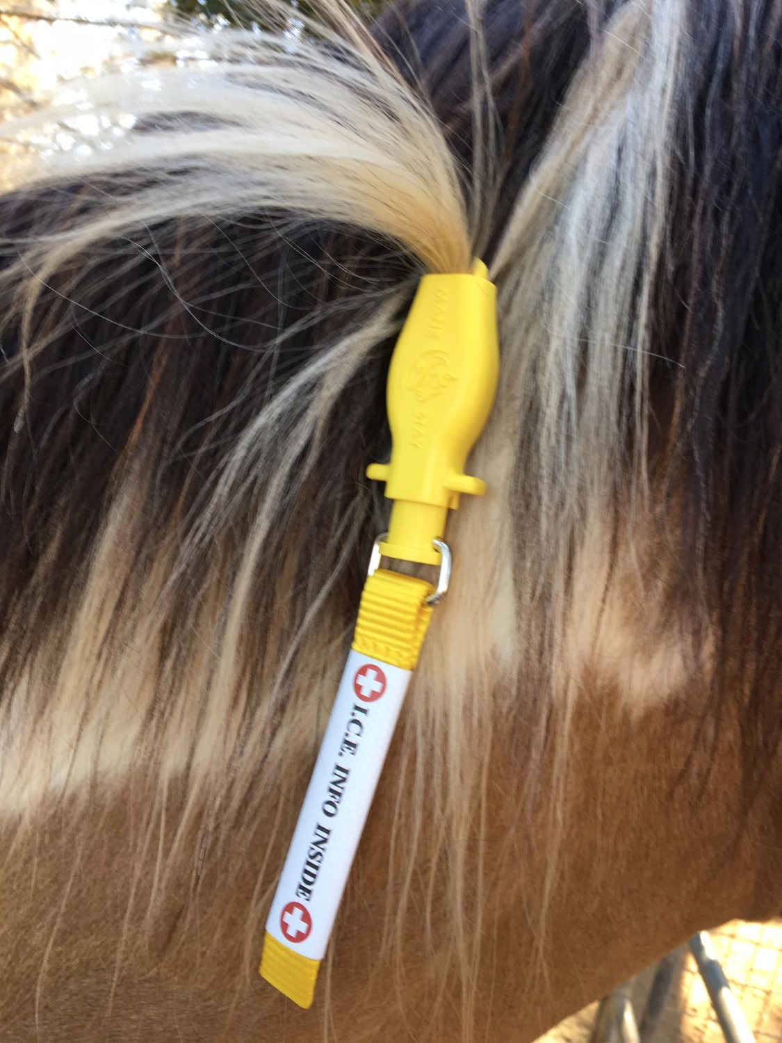 I.C.E. ManeStay polycarbonate emergency horse ID clip product photo
