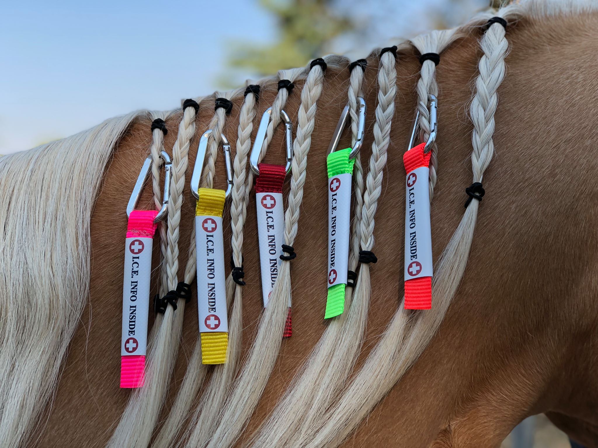 I.C.E. UltraLite lightweight aluminum carabiner horse ID tag