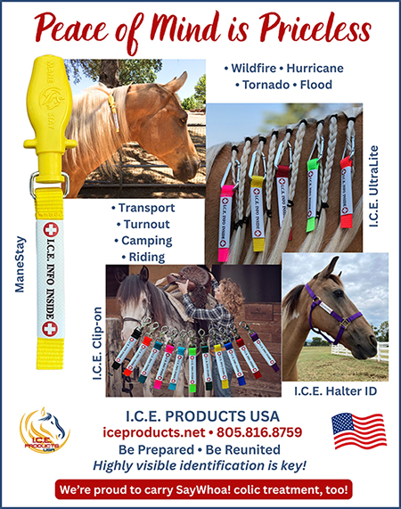 ICE Products