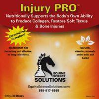 Injury PRO natural equine healing supplement container by Equine Science Solutions