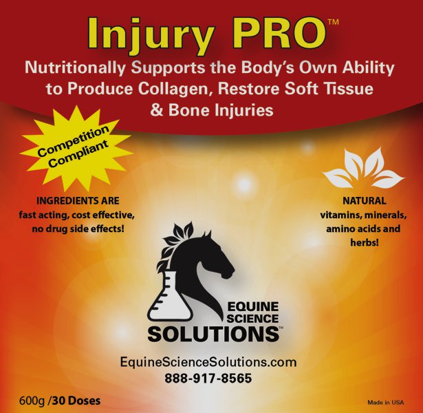 Injury PRO horse supplement 32 cc product shot on background by Equine Science Solutions