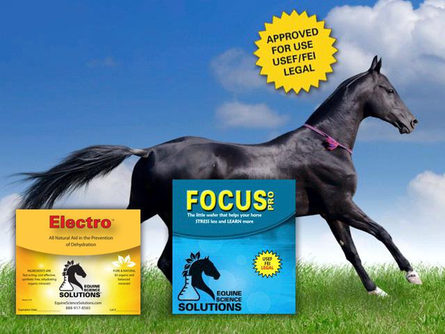 Equine Science Solutions supplement packages arranged in a product display