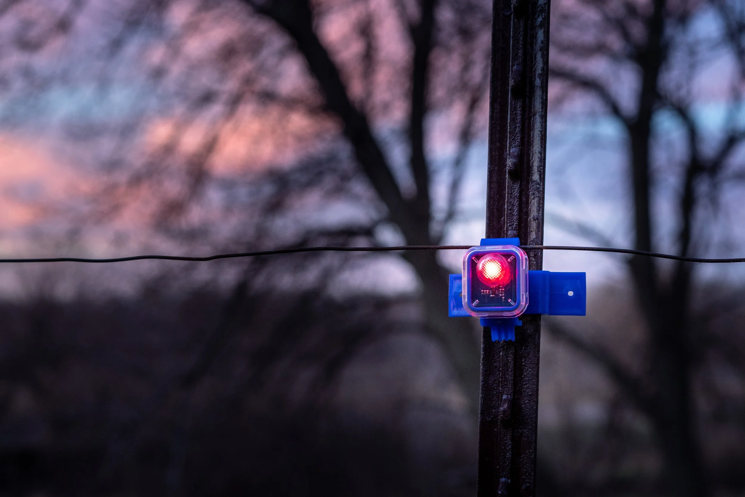 Insulights blue insulator with flashing red LED light close-up on electric fence wire