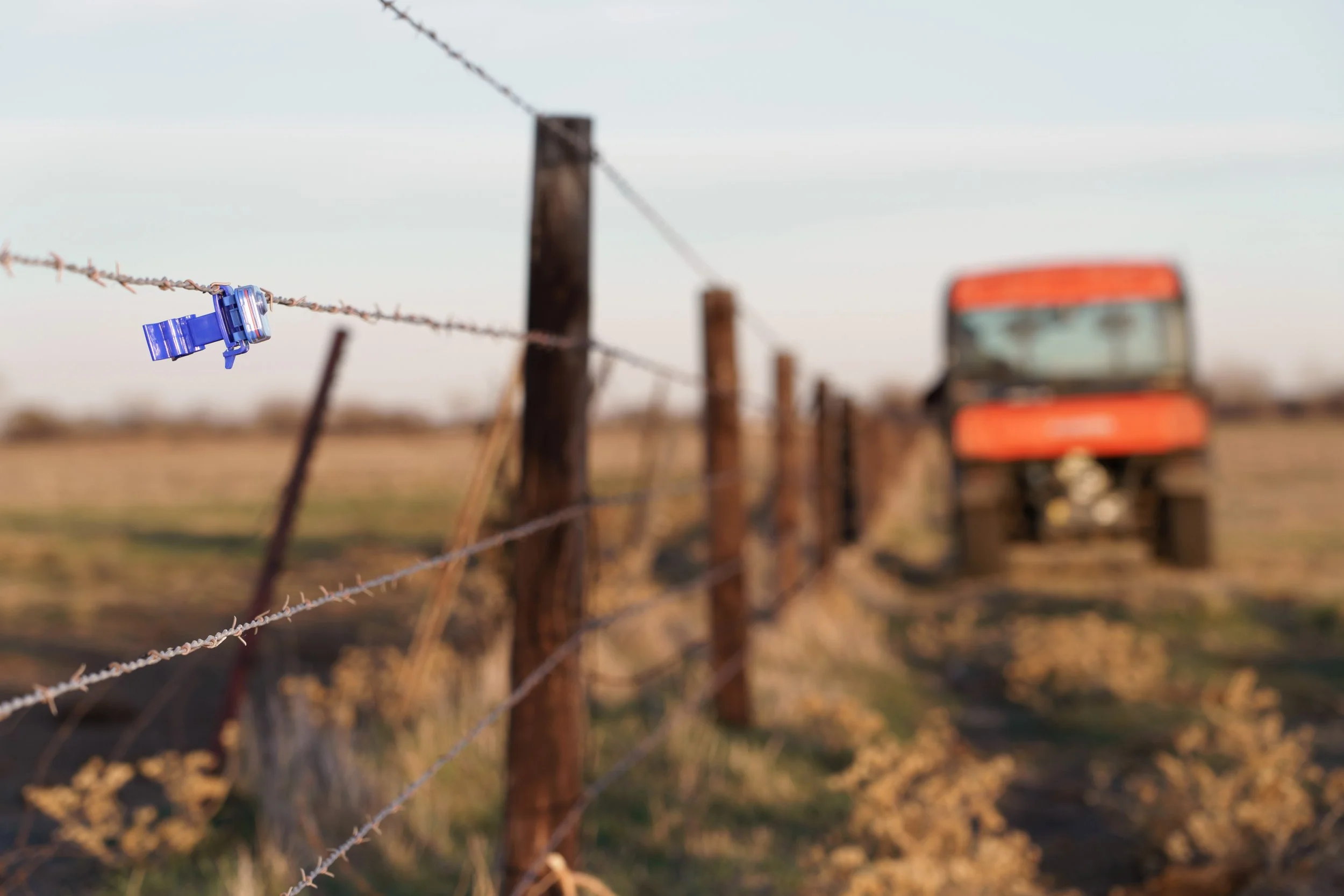 Insulights flashing electric fence monitor mounted on a fence line at a livestock farm