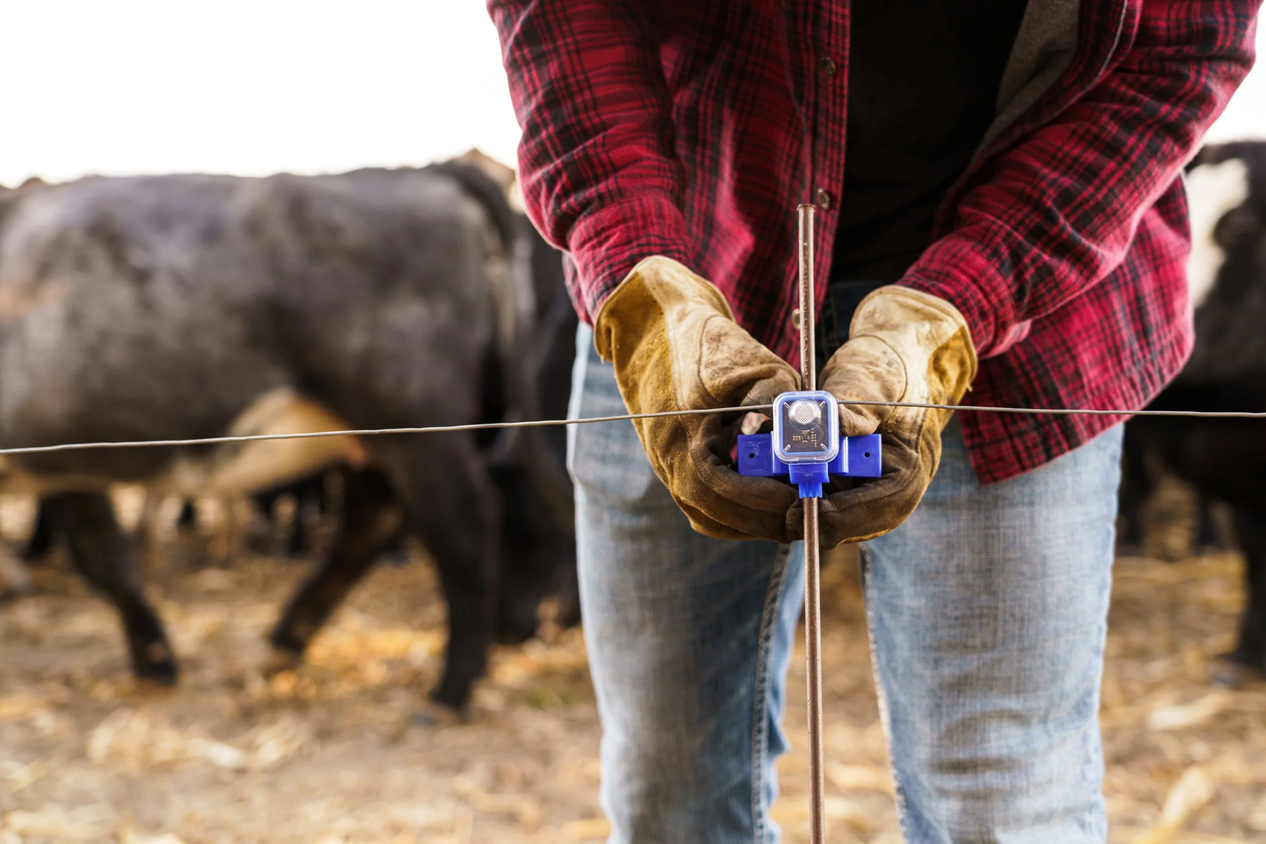 Insulights monitor on an electric fence with horses grazing behind the fence line