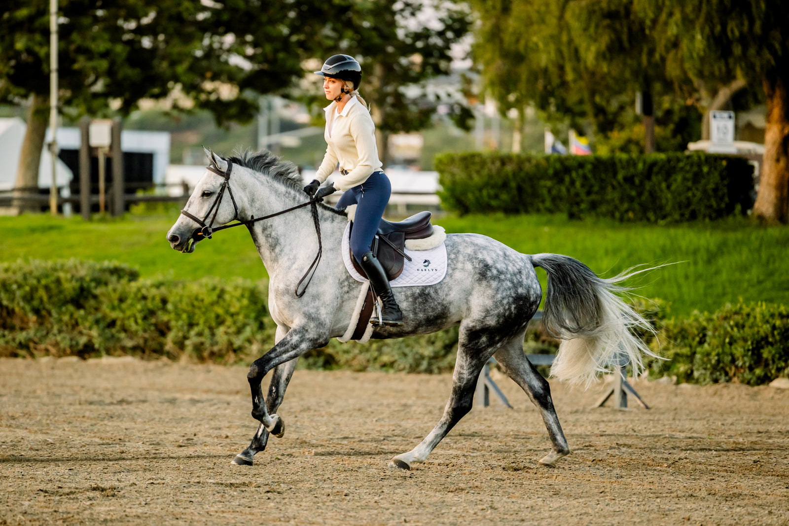 Horse and handler in the barn aisle showing a clean healthy coat and mane