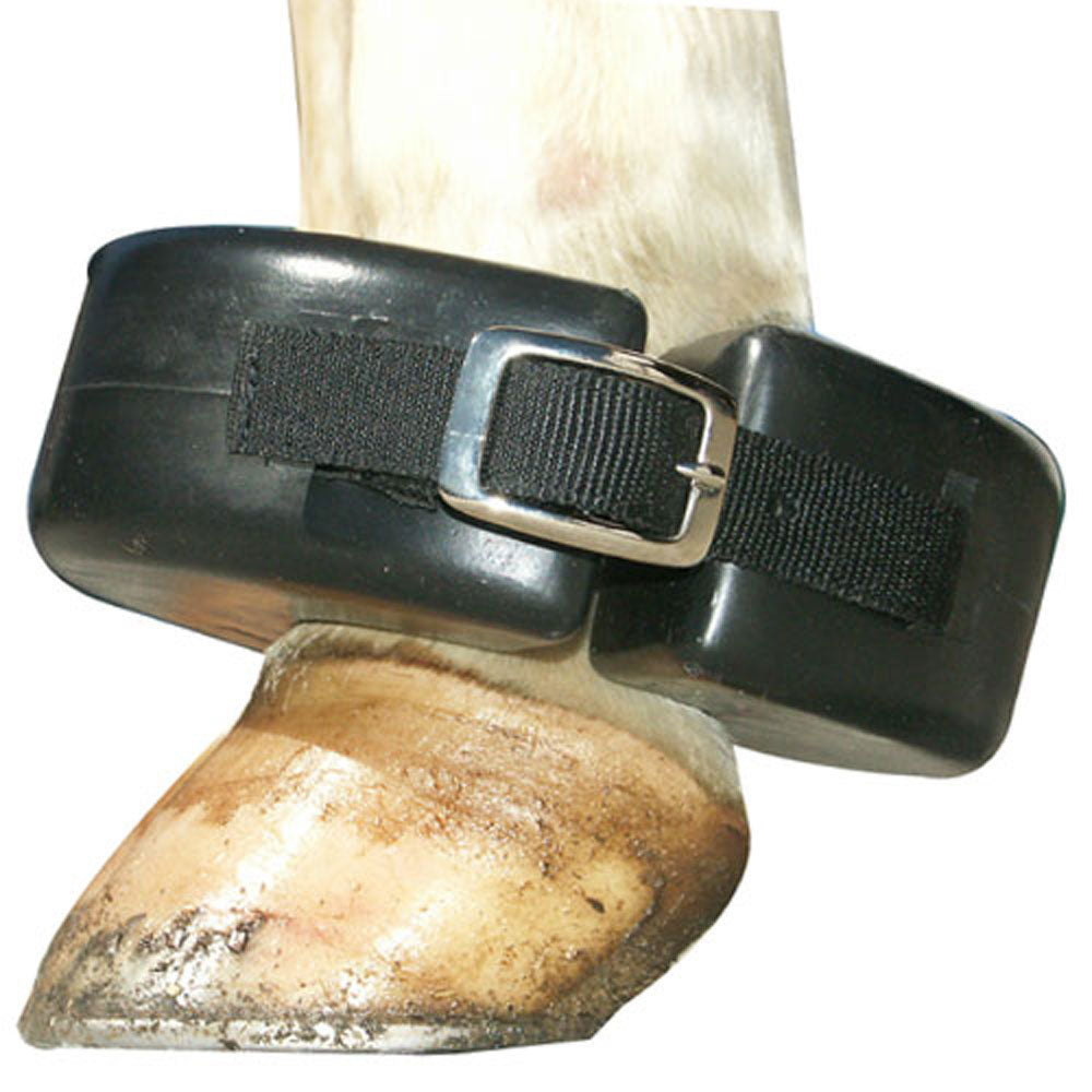 Intrepid International Shoe Boil Boot, padded donut-shaped elbow guard with buckle strap