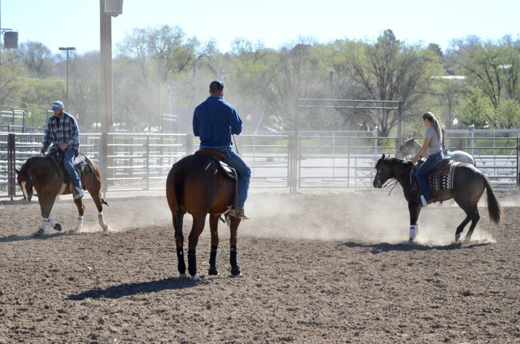 Lyons Legacy Trainer working a horse under saddle during certification course