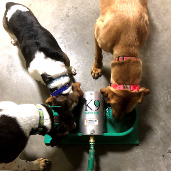 JUG standing pasture waterer with sealed clean-water reservoir