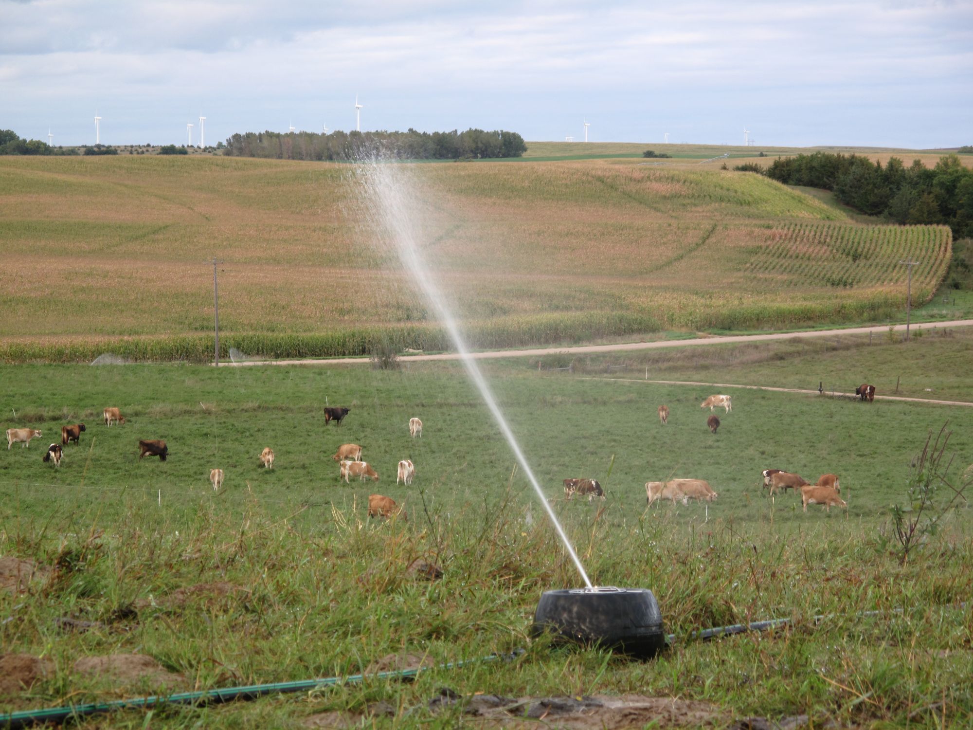 K-Line Irrigation system applications across pasture and turf land