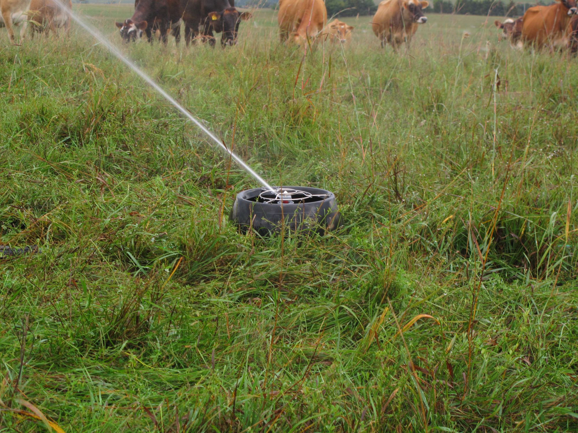 K-Line Irrigation towable sprinkler pods watering a green livestock pasture